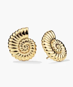 Ammonite Oversized Studs