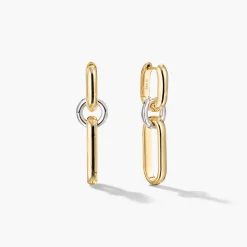 Mixed Convertible Link Earrings